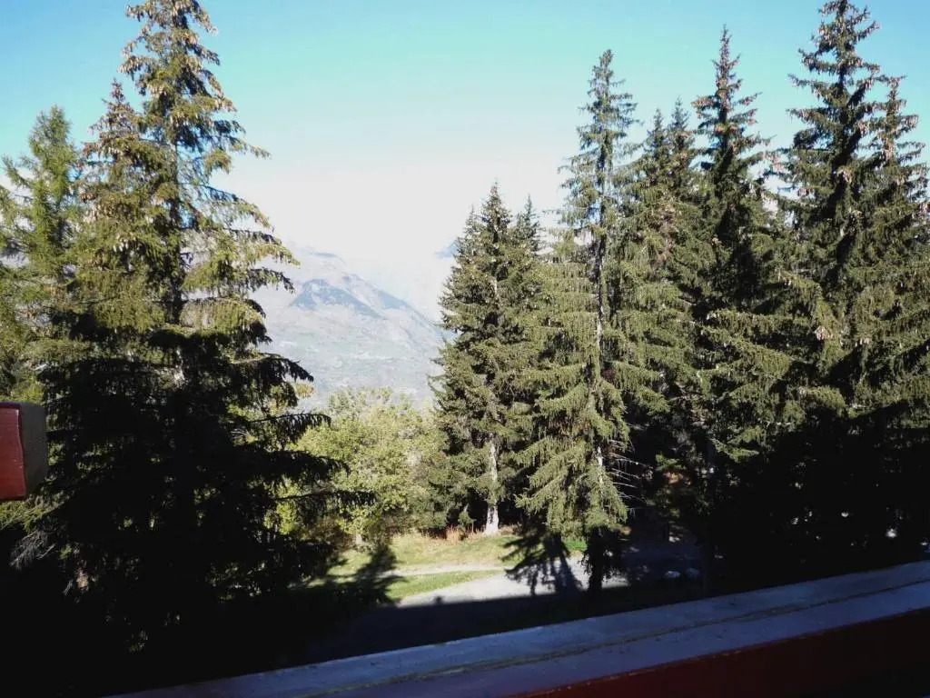 Appartement Les Arcs 1800, 1 pièce, 5 personnes - FR-1-411-374