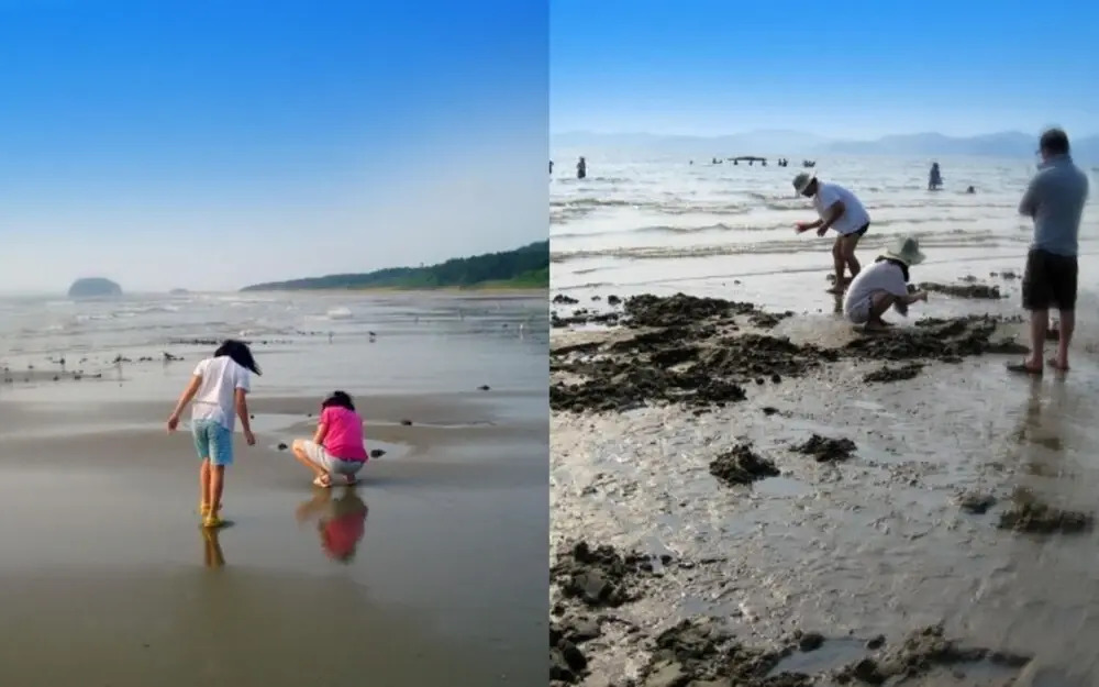 Taean Full of Flower Scent Pension