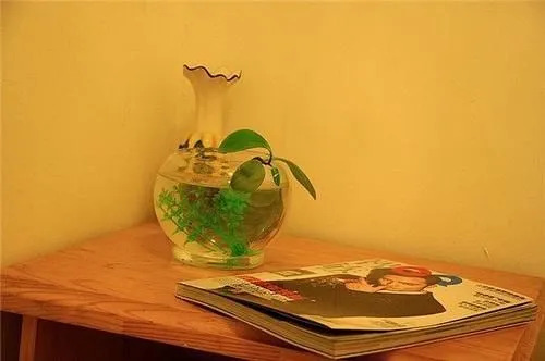 Yi Ju Hostel- Qingdao