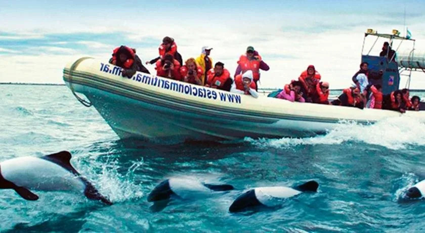 Bahia Delfines