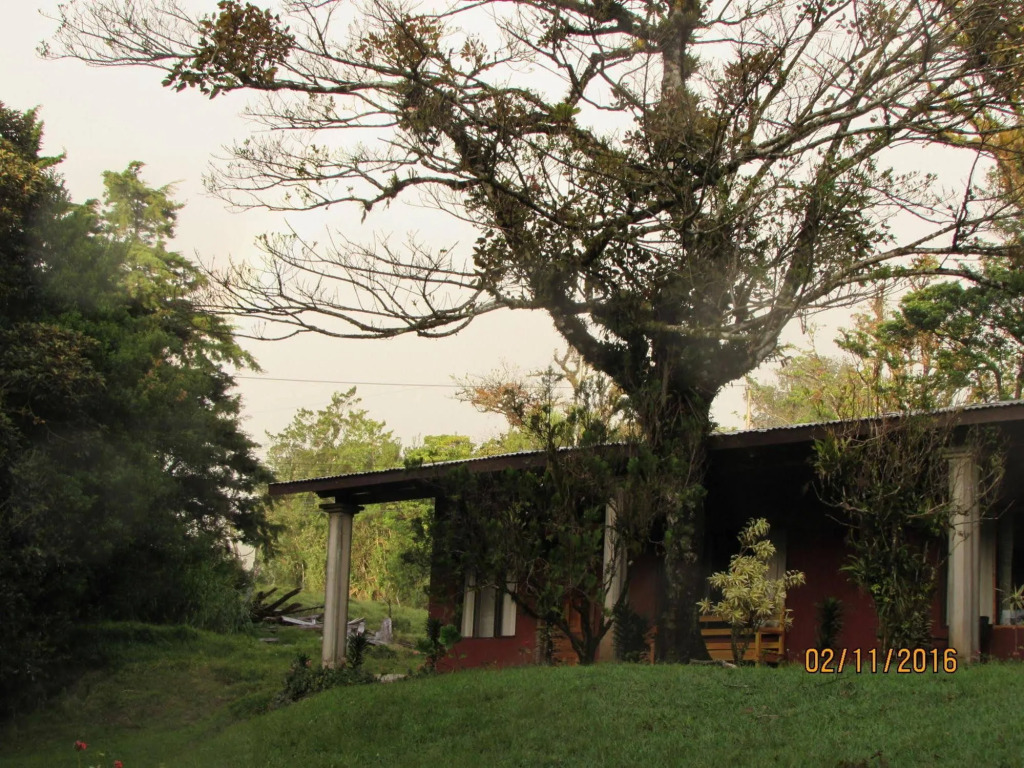 Villa Verde Monteverde