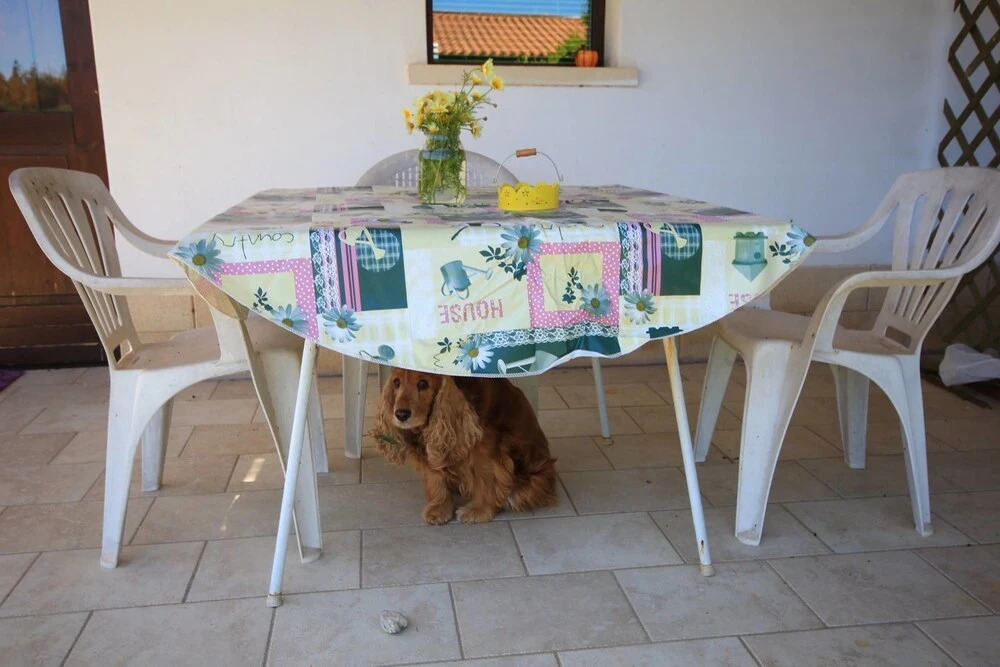 Salento Marsail Vacanze