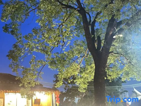 Yukang Valley Courtyard