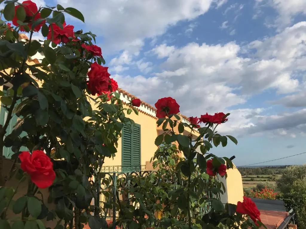 La Veduta
