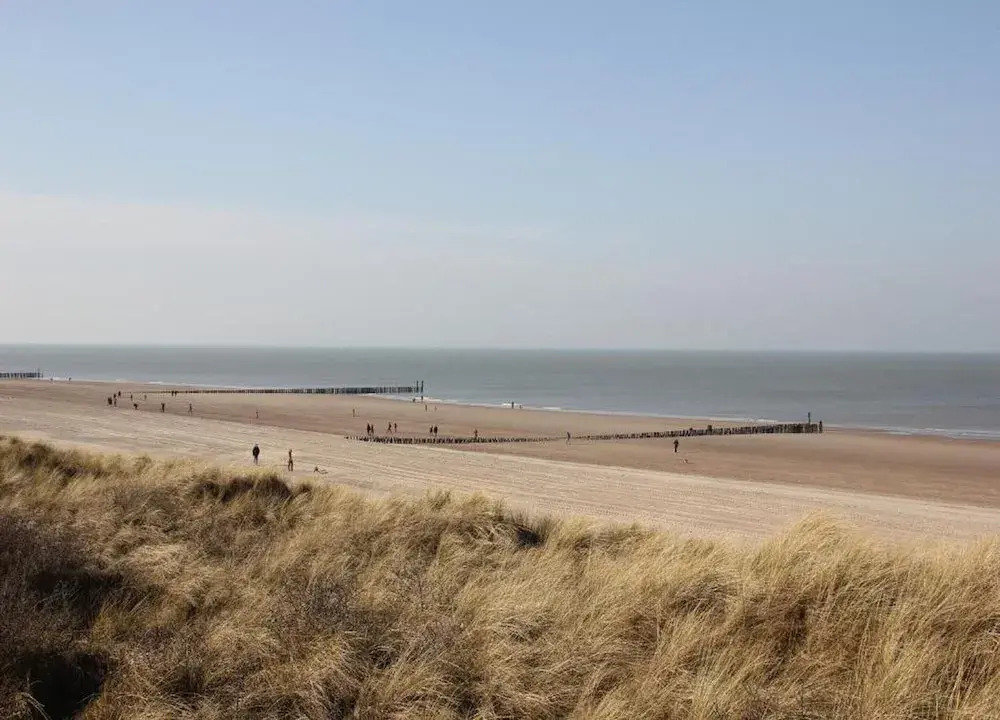 Studio in Domburg near Beach and Nature Reserve