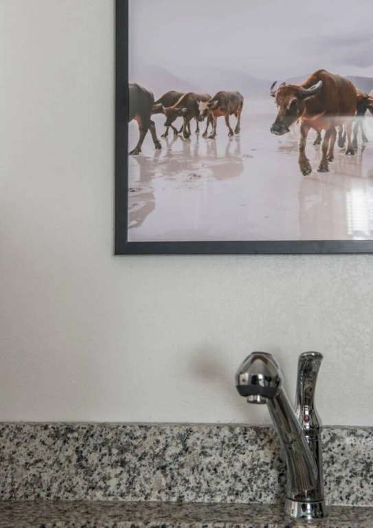 Explore Downtown Nashville Hip Designer Condo