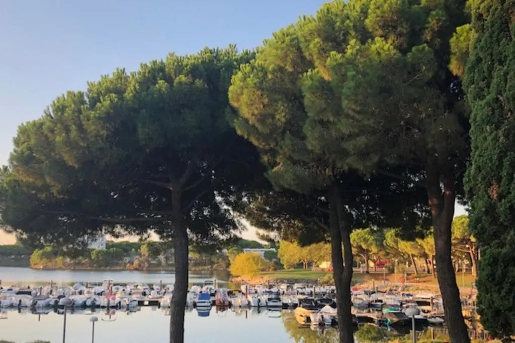 Studio Between Near The Sea Facing The Ponant