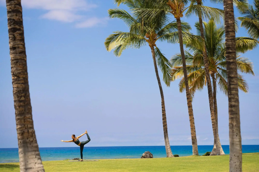 Fairmont Orchid