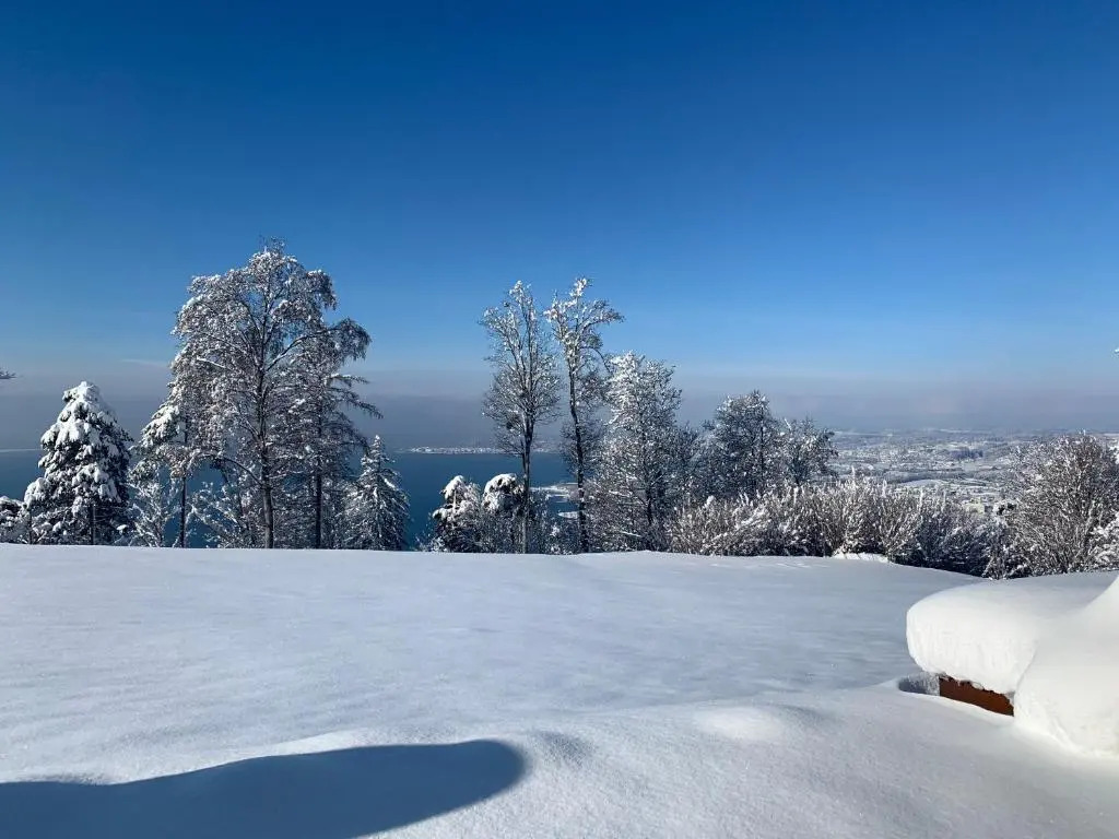 Seeblick Appartement Henle
