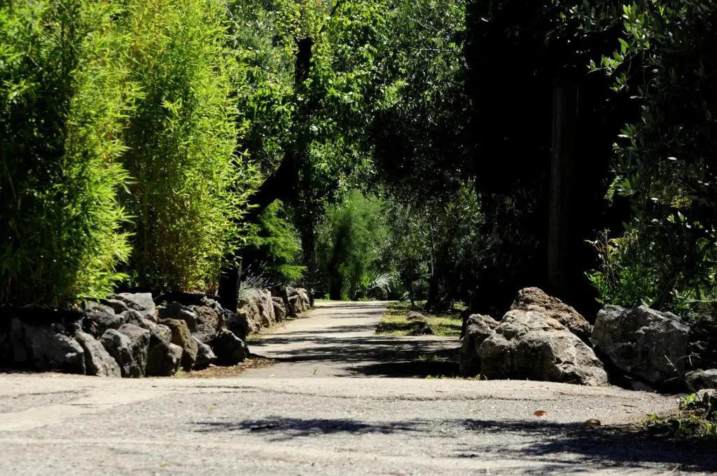 Tenuta Dei Giraldi Di Caloria