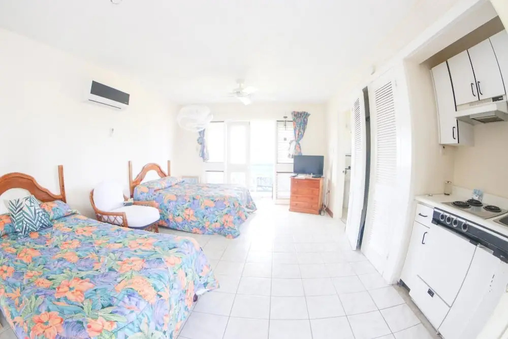 Negril Studio Terez