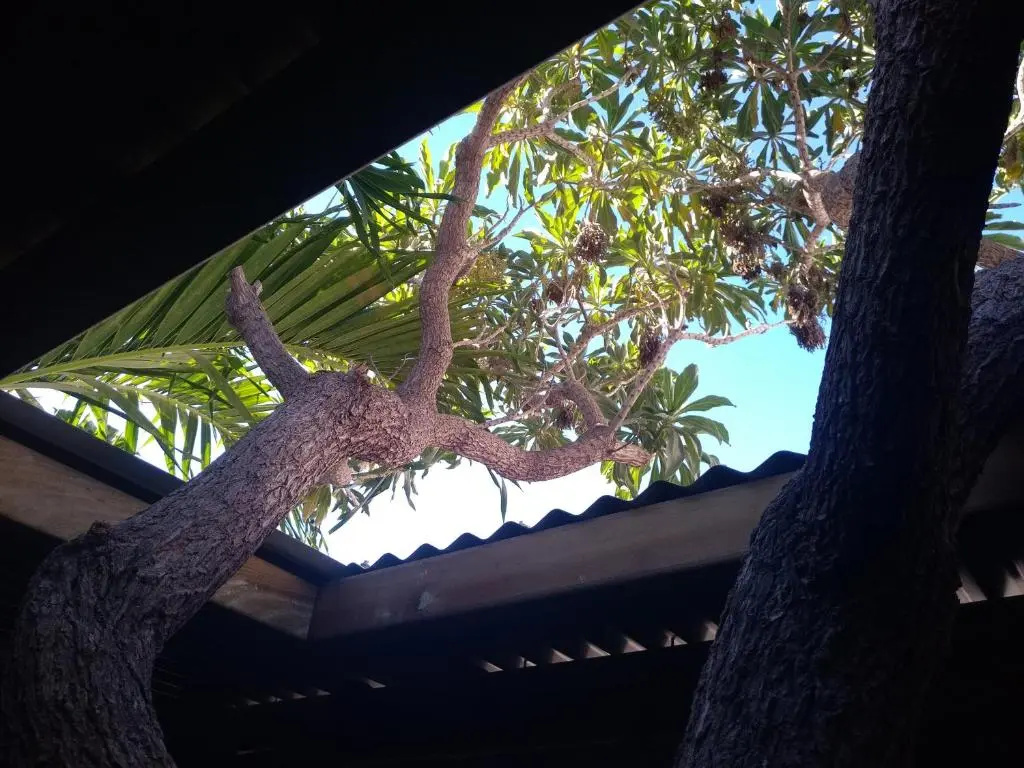 Villa Yapaplupres
