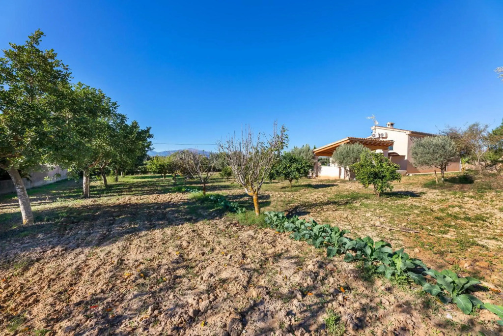 Villa Son Allarga