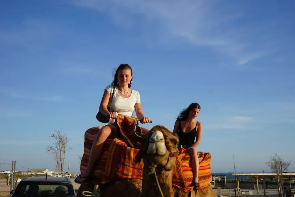 AFRIVISTA