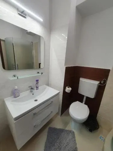 Petrosani Camere de Inchiriat - Hotel Petroshani srl