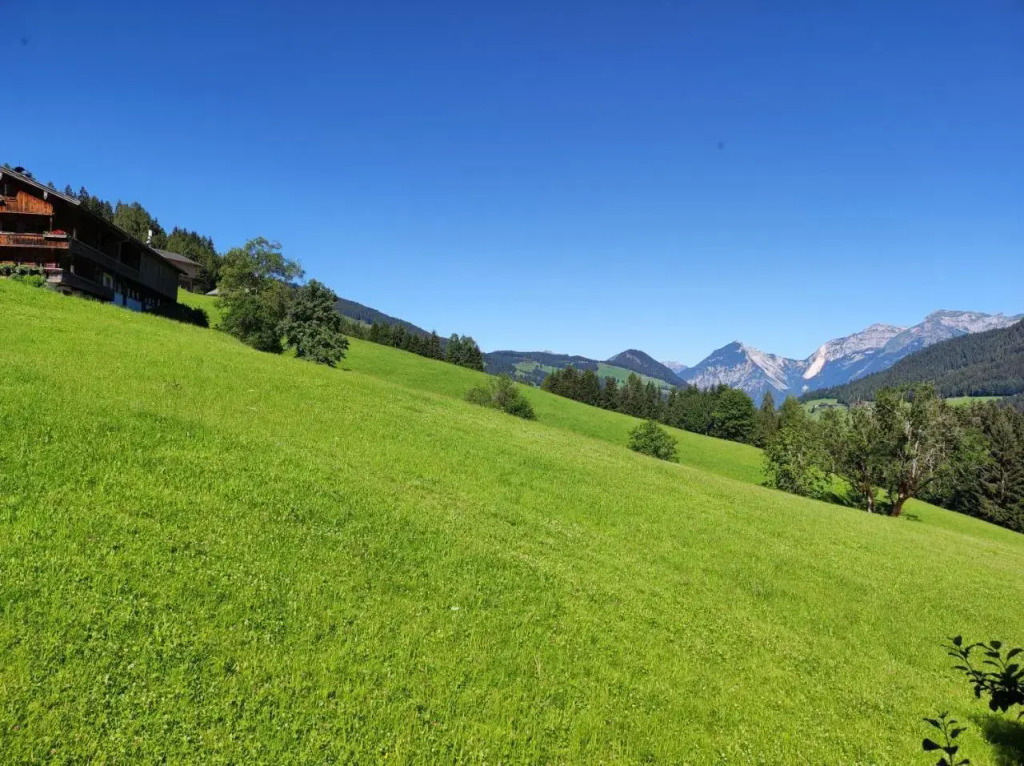 Ferienwohnungen Schneiderhausl