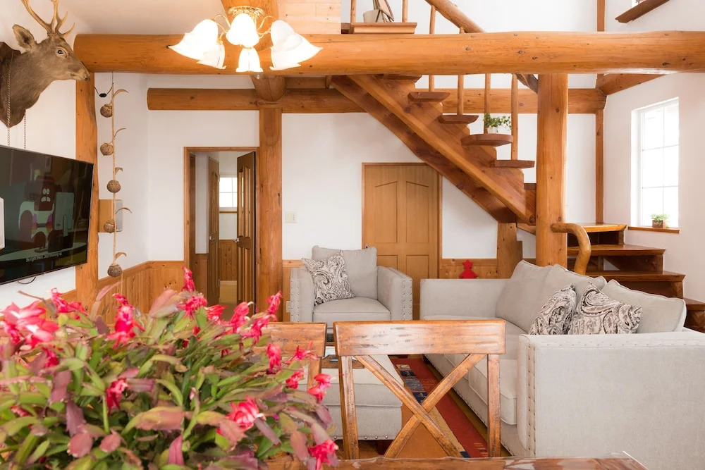 HDO Luxury Log House