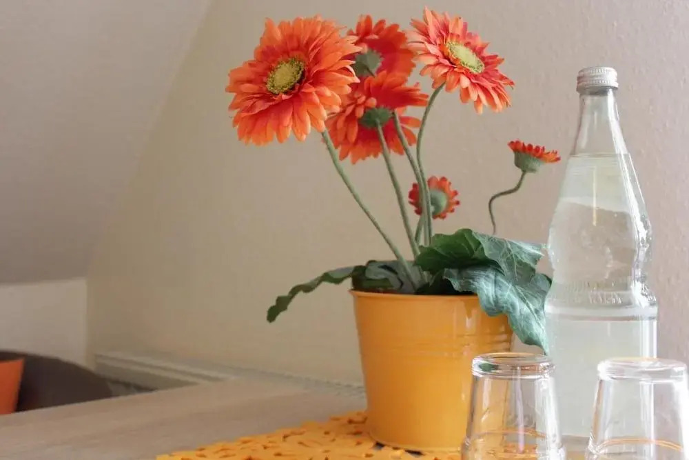Pension Blumen-Villa