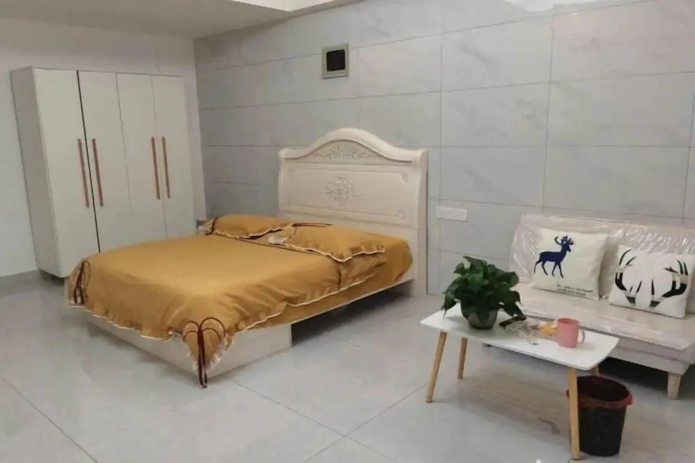 Central Apartment