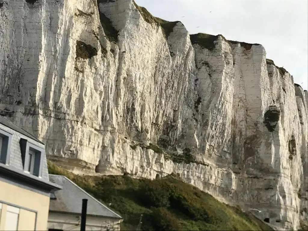 Salicorne avec vue sur mer