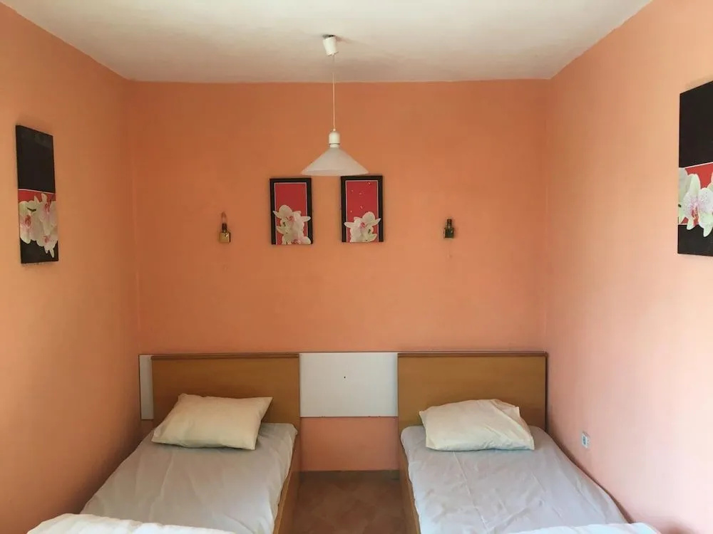 Hair of the Dog Hostel