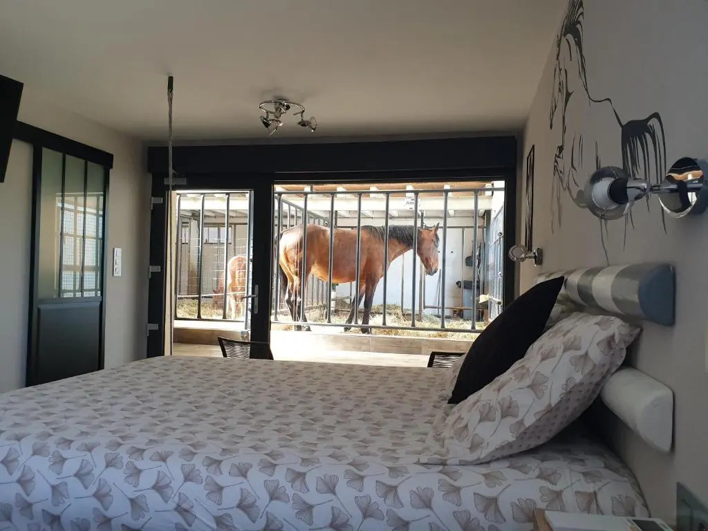 Equi-lodges