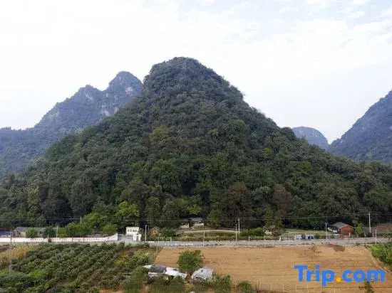 Yingde Fenglin Moke Homestay