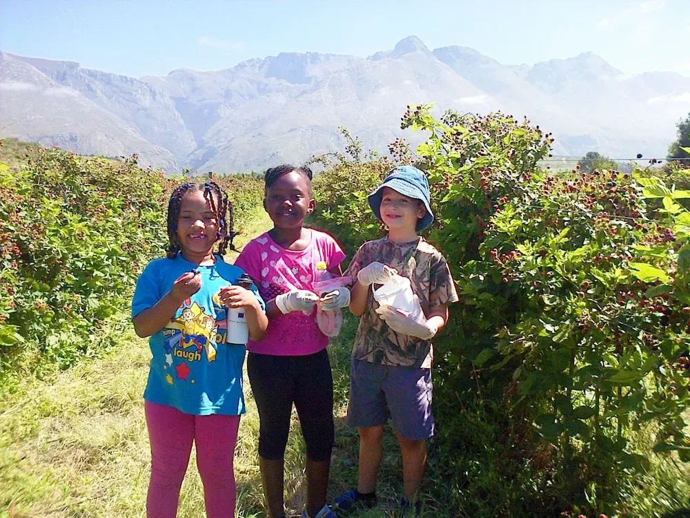 Wildebraam Berry Estate