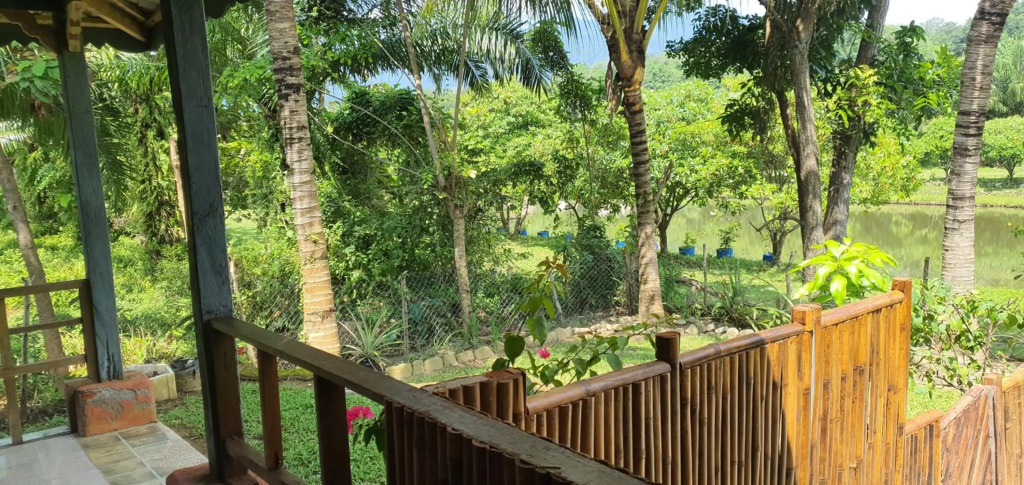 Sumatra Monkey Trekking