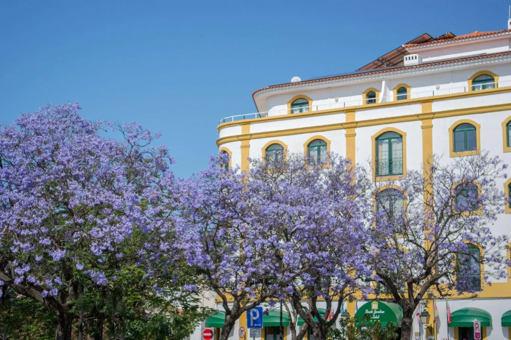 Loule Jardim Hotel