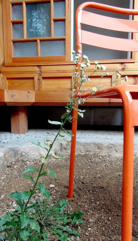Kibi House(기비하우스)