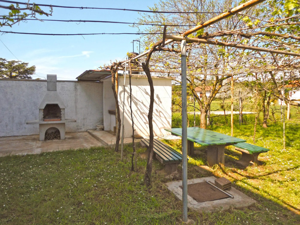 Apartment 1631