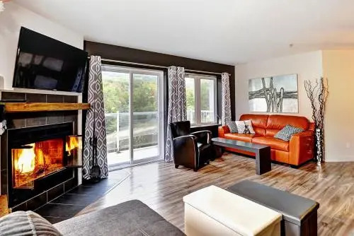 Chalet 620 Chemin du Hibou 224