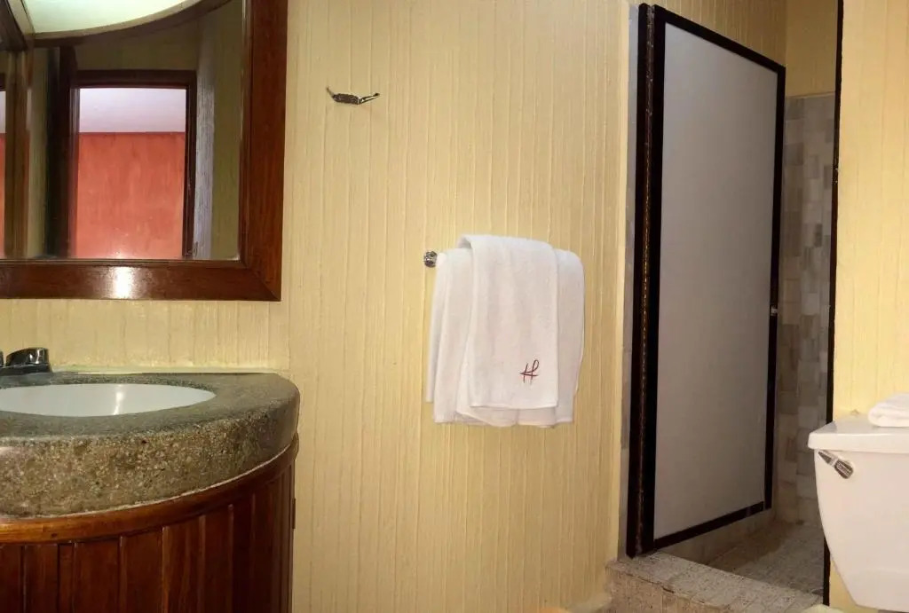 Hotel Fenix