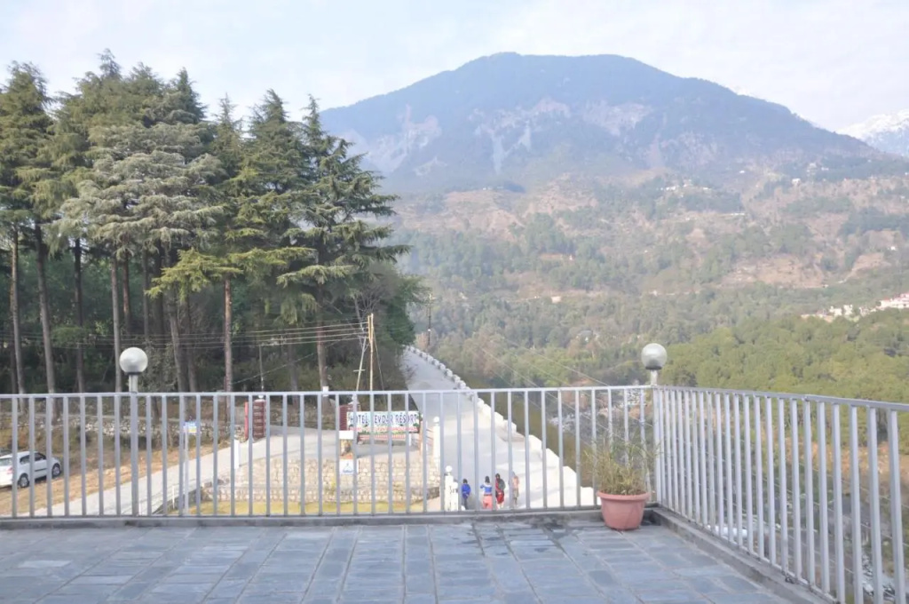 Hotel Devdar Resort