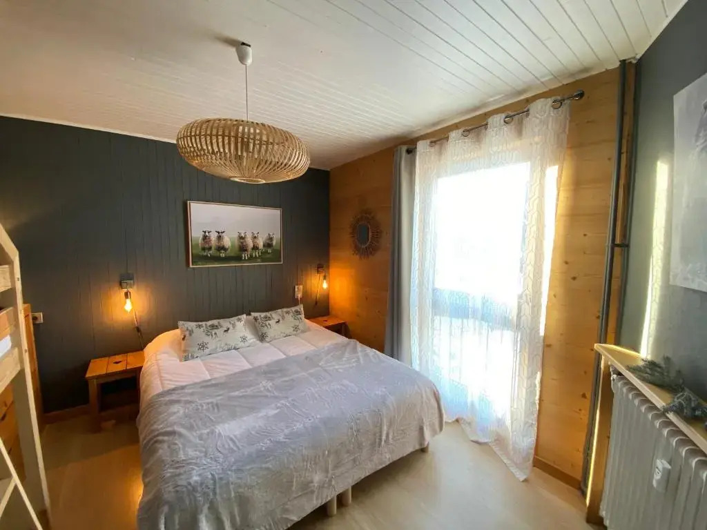 Appartement cosy au pied des pistes