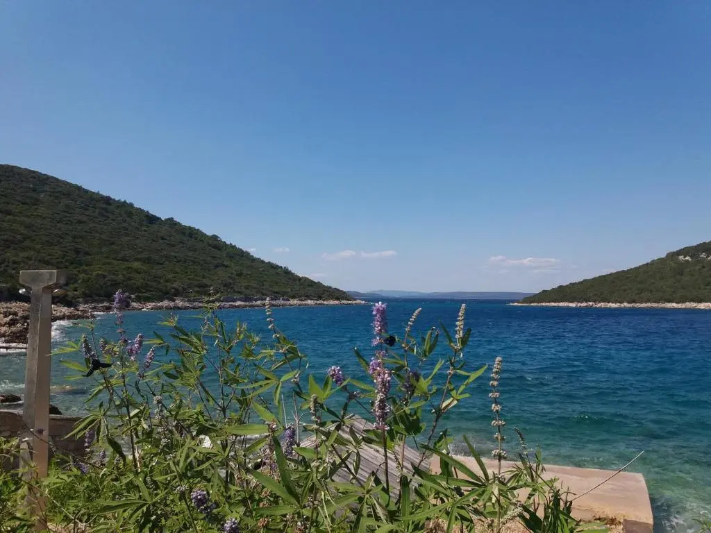 Apartment 4M Cunski