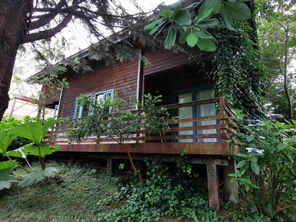 Cabaa Pudomo en Coaripe con Hot-tub exclusivo