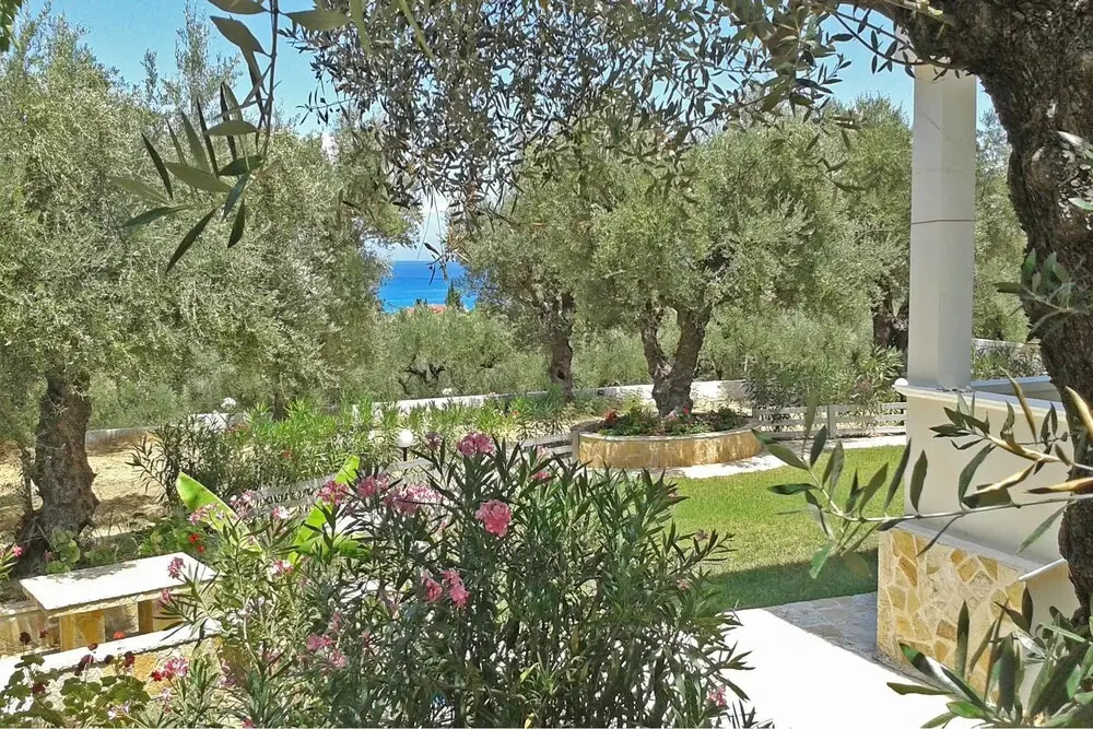 Zante Apartments Studios