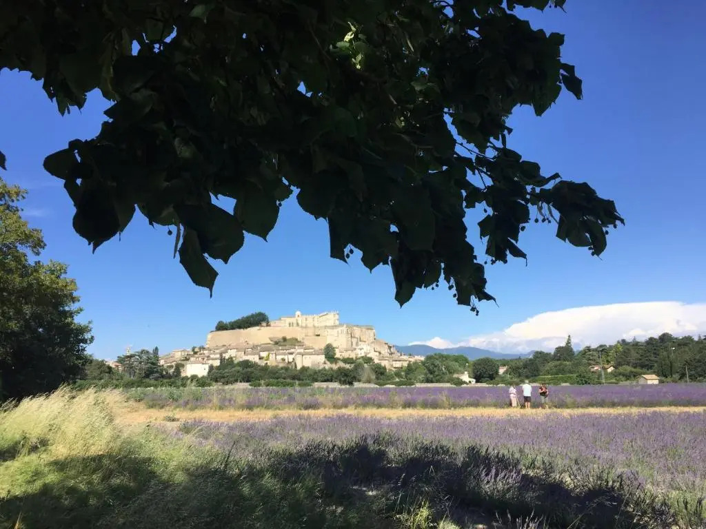 Gites Les oiseaux voyageurs "Le Douny"