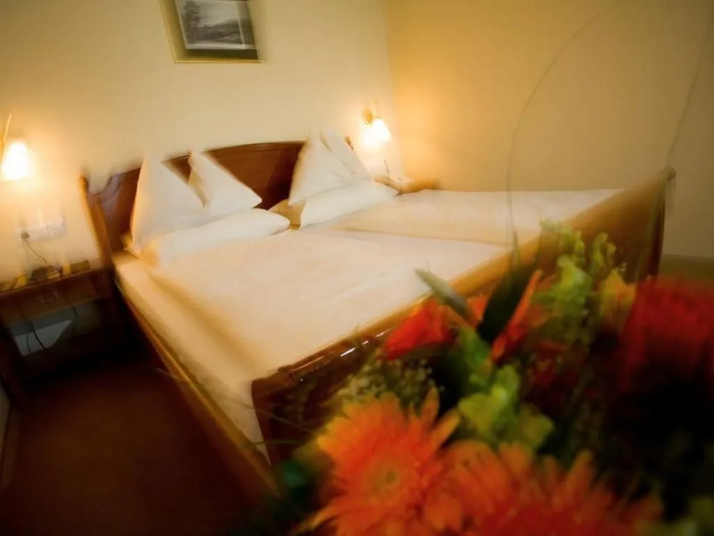 Hotel Allmer