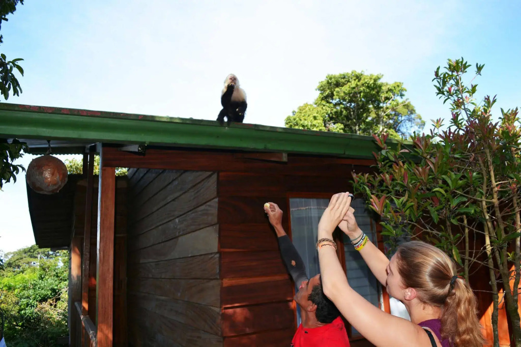 Santa Elena Hostel Resort