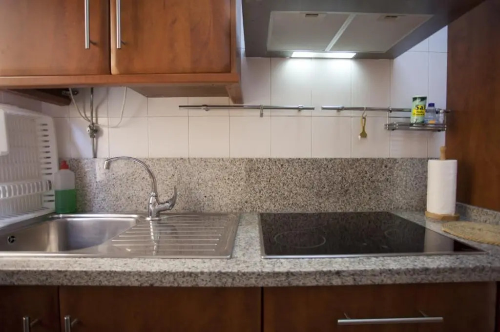 Apartment in Malaga 101679