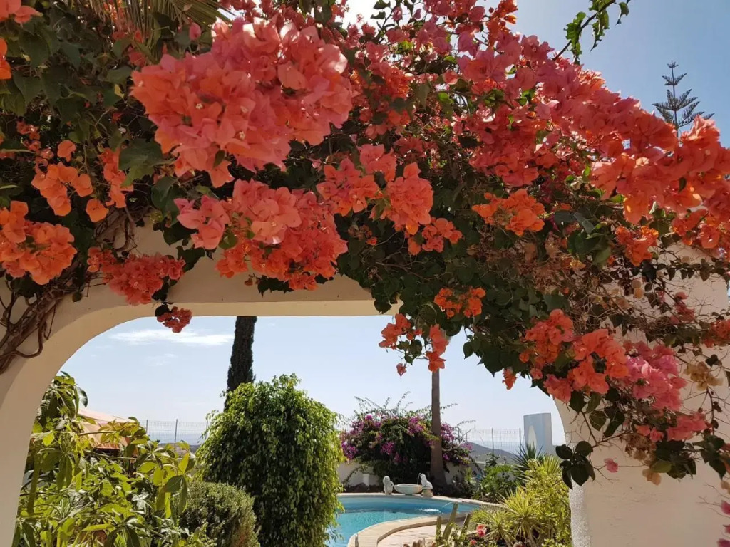 Casa Oroteanda