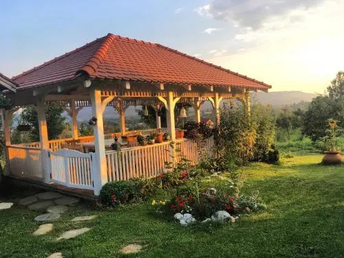 Conacul Paloși