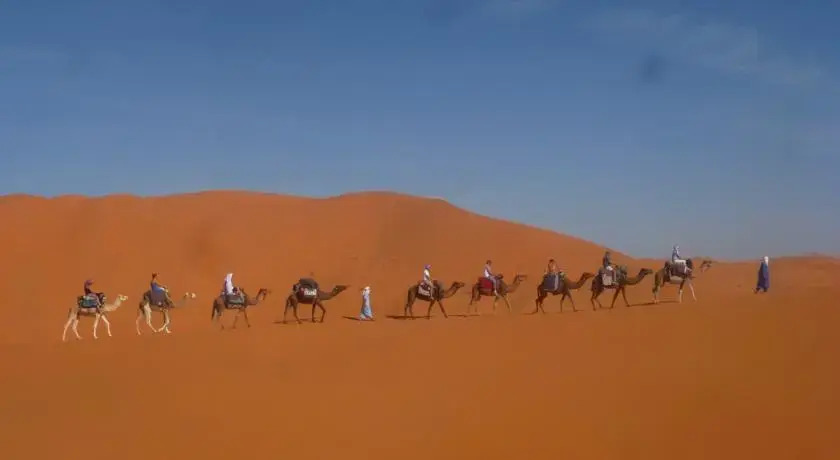 Oasis Camp