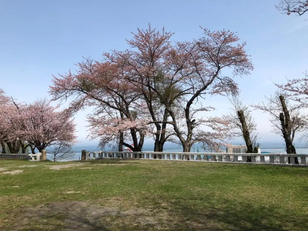 Guest House Asahi