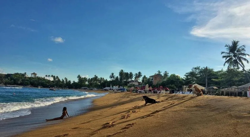 Secret Garden Villa - Unawatuna