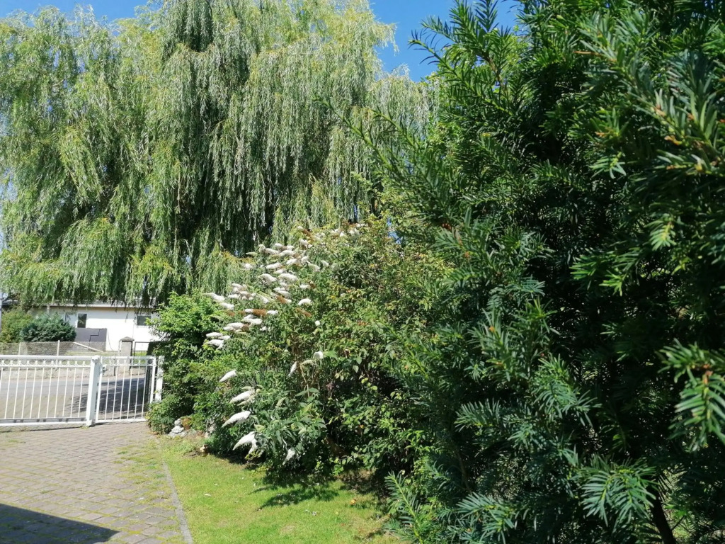 Pension Haus Anneliese