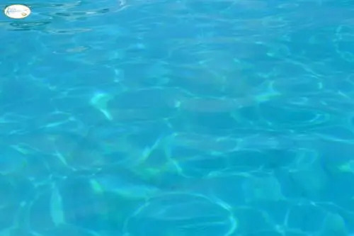 Lampedusa Vi attende